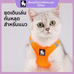 TRUELOVE | Pet Lead for Cats Vest Style