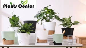 Plants Center T031กระถางต้นไม้ กระถางเพื่อไม้ฟอกอากาศ แบบใหม่มีถาดรองเก็บน้ำได้ สไตล์ยุโรป สีขาว-ดำโทนสีคลาส