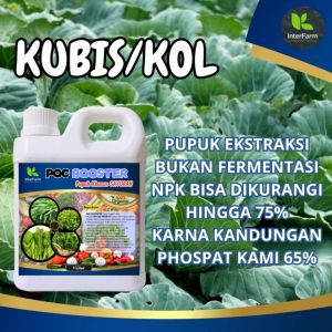 INTERFARM POC Booster Pupuk Organik Cair Kaya Phosfat untuk Kubis/Kol - Efektif & Ramah Lingkungan