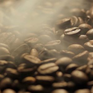 Diabetic Friendly Coffee: 10PCS Insulin Anti-Diabetic Coffee Sachets