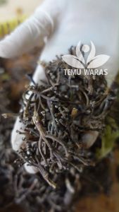 Batang Cengkeh 1kg atau Cengkih Kering Asli Organik Asli Gunung