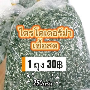 ไตรโคเดอร์ม่าสด‼️ราคาส่ง พร้อมวิธีใช้งาน ช่วยควบคุมโรคพืช