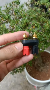 Trạm loa jack bắp chuối trạm main Ampli cọc loa đôi M5 chân ngắn (1 cái) - linh kiện điện tử TTN