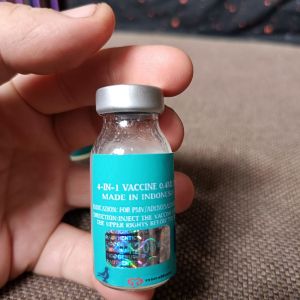 pigeons 4in1 vaccinee preventions PMV/ADENO/SALMONELLA/BRONCHITIS