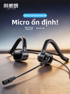 LIWEILANG | Gaming Headset for Computer and Laptop With Mic and Earphones