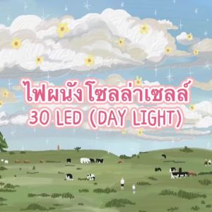 ไฟผนัง โซล่าเซลล์ 30 LED (DAY LIGHT)