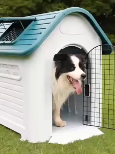 Greenpets Outdoor Dog House Heavy Duty Dog Crate Large Size Space Rainproof Waterproof Windproof With Skylight