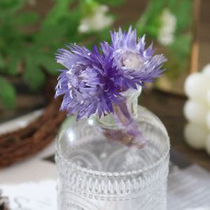 Eternal Flower Rock Flower Ins Style Natural Plant Dry Snow Lotus Bouquet Decoration Decoration Dried Flowers Bouquet Handmade DIY