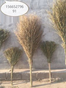 Household Courtyard Garden Old-Fashioned Broom Outdoor Sanitation Road Factory Broom Long Bamboo Broom Black Leather Big Broom