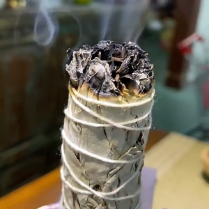 White Sage Smudge Stick Sustainably Harvested (Natural Incense Organic Aromatherapy Californian)