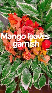 Artificial Leaves Mango Leaf Sugar Maple Bamboo Leaf Wisteria Pampas Grass For Decor