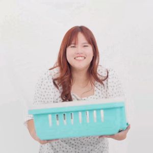 (ยกชุด10ใบ) กรงเดินทางสัตว์เลี้ยงไซส์ Mรุ่นโปร ยกชุด10ใบ คละสี เหมาะสำหรับฟาร์มและเพ็ทช๊อป