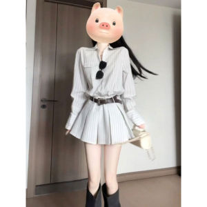 Chic Minimalist Striped Long Sleeve Shirt Dress Womens Autumn Fashion Casual Button up Cotton Skirt City Commute Street Style