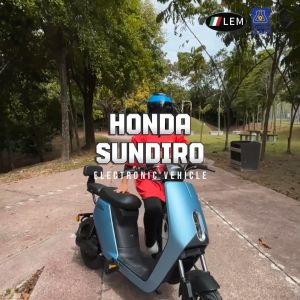 LEM new electric bike/electric bicycle/electic scooter model lem vq2 seat (e-bikes)