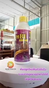 เร่งราก รูท B1 ขนาด 1 ลิตร สูตรเร่งราก ทำให้รากแข็งแรง ขยายรากใหม่ ตราหมึกดำ