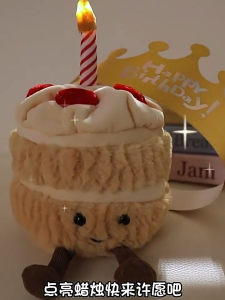 ตุ๊กตาเทียนเค้กวันเกิด เรืองแสง พร้อมเสียงเพลง ของเล่นสําหรับเด็ก ของขวัญวันเกิด