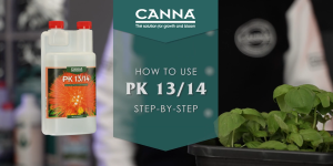 🔥ของแท้จากโรงงานปิดผนึก🔥CANNA PK 13/14 (250ml/1L/10L) | ตัวเสริมออกดอกสูตรพรีเมียม NPK 0-10-11 เพื่อดอกใหญ่ คุณภาพสูง