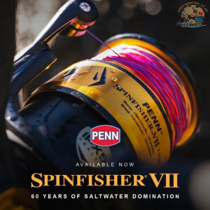 REEL PENN SPINFISHER VII SSVII 2500 3500 4500 5500 6500 7500 8500 9500 10500