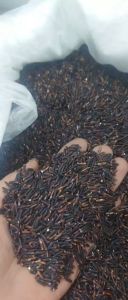 Gạo Lứt Tím Than ST Thiên Long Rice Đặc Sản Sóc Trăng 1 Kg Hàng Loại 1 Ăn Kiêng - Cơm mềm dẻo mùi thơm Thực Phẩm Ăn Kiêng Nobard - Lazada