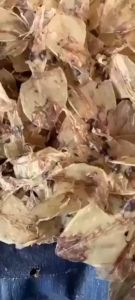 KHÔ MỰC SIÊM XẺ NẤU MÌ NẤU SÚP RIM ME RIM SATE NGON TUYỆT - VỰA KHÔ YẾN VY