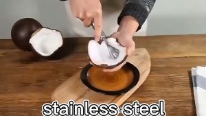 Coconut Shaver Kerokan Kelapa Muda Pembersih Sisik Ikan Stainless Steel Parutan Kelapa Parutan Buah