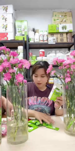 Gói Dưỡng Hoa Tươi Lâu Longlife Israel 5gr Giữ Hoa Tươi Gấp 2 Lần 14 Ngày Không Thay Nước Gói 5gr pha 0.5L nước dùng cho 1 bình hoa