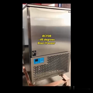 Commercial Fast Freezing 8/12 Tray Capacity Blast Freezer Machine Heavy Duty