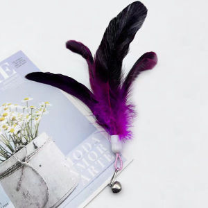 Colorful Feather Cat Toy Replaceable Head for Interactive Play High Quality Replaceable Feathers Long Lasting Fun for Cats