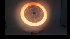 Rechargeable FM MP3 Radio Fan Super Bass Speaker Portable Music Mini System With Light & Rechargeable USB Fan