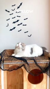 Halloween Bat Bar (ของเล่นสำหรับน้องหมาน้องแมว)