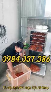 Máy sấy bò khô nguyên tấm lạp xưởng khô gà 10 khay