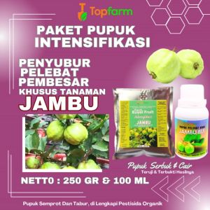 Pupuk Jambu Biji: Tips & Teknik untuk Meningkatkan Hasil Panen