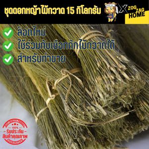 ชุดดอกหญ้า 15 กิโลกรัม ดอกกง ดอกตองกง ดอกหญ้าแห้ง สีสวย จากธรรมชาติ 100% ใช้เป็นอุปกรณ์ทำไม้กวาด สำหรับทำขาย พร้อมส่ง Zogzaghome