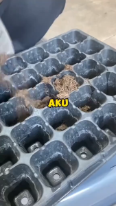 【Original+24hours delivery】Seedling Tray 200 holes hubs pots for plants stand coco peat loam soil seedling bag