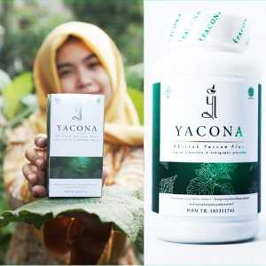 Yacona Obat Diabetes Memperbaiki Sel Beta Pankreas