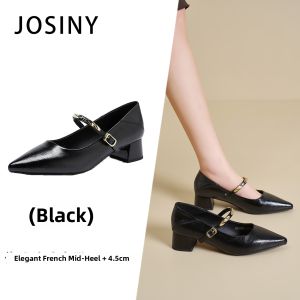 Josiny | Vintage Elegance Mary Jane Style Pointed Toe Chunky Heels Shoes