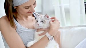 น้ำพุสัตว์เลี้ยง Petoneer Pet น้ำพุแมว น้ำพุหมา ถังให้น้ำสัตว์เลี้ยง ที่ให้อาหาร น้ำพุแมวสัตว์เลี้ยง เครื่องให้น้ำอัตโนมัติ น้ำพุสุนัข ดี