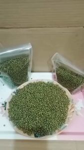Kacang Hijau Premium 1 kg Murni 100 % / Kacang Hijau Kwalitas Super / Large Green Mung Beans