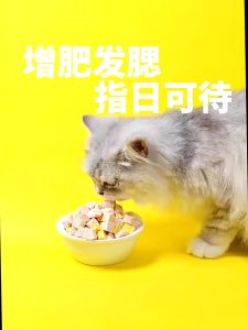 PETSEE Booster Gemuk Kucing 1kg Freeze Dried Cat Food Freeze Dried Chicken Cube 500g Cat Booster 鸡肉冻干 Egg Yolk for Cat