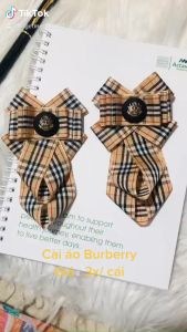 Cài áo nam nữ mẫu BBR. KT 9x13cm. Nhận thiết kế theo yêu cầu của khách