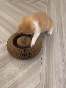 【Meoof】 Durable Cat Scratcher Strong Magnet Organ Cat Scratcher Board High Density Cat Claws Scratch Board 风琴猫抓板强力磁铁吸附猫玩具带铃铛瓦楞纸猫咪磨爪