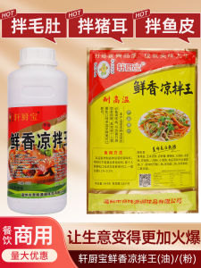 Xuan Chef Treasure and Fragrant Cold Mix King 500g Commercial Grade Food Flavor Enhancer for Home Use