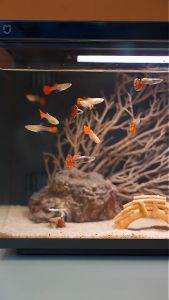 Xiaomi ตู้ปลา Mijia Smart Ecological Fish Tank ตู้ปลาตั้งโต๊ะ 6 พิเศษ สี เชื่อมต่อและเชื่อมต่อเพื่อผ่านแอพ