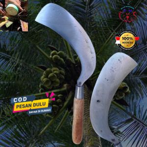 Am19 sabit deres penderesan sadap kelapa baja isen selap 3 super cp arab wonosobo