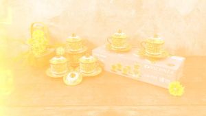 VICENZA 6 pasang cangkir set + tutup motif  Gemini / tea set cup and saucer porcelain CR-Y85