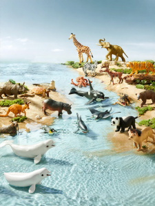 bc toys | Educational Animal Model Toys
