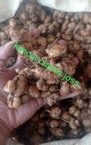 1kg KENCUR ASLI CIAMIS WANGI ENAK