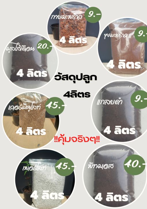 วัสดุปลูกคุณภาพ 4 ลิตร สำหรับไม้กระถาง