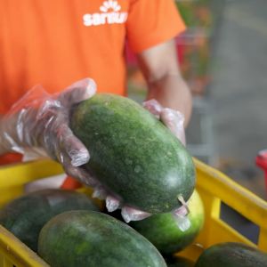 SukiGrocer Onion White Medium 230-250g / 450-500g [Sibuyas]