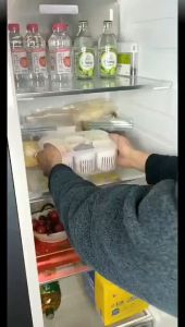 Refrigerator Storage Box 4/6 Grid Food Vegetable Fruit Storage Box Fridge Organizer Drain Basket Meat Onion Ginger Clear Crisper